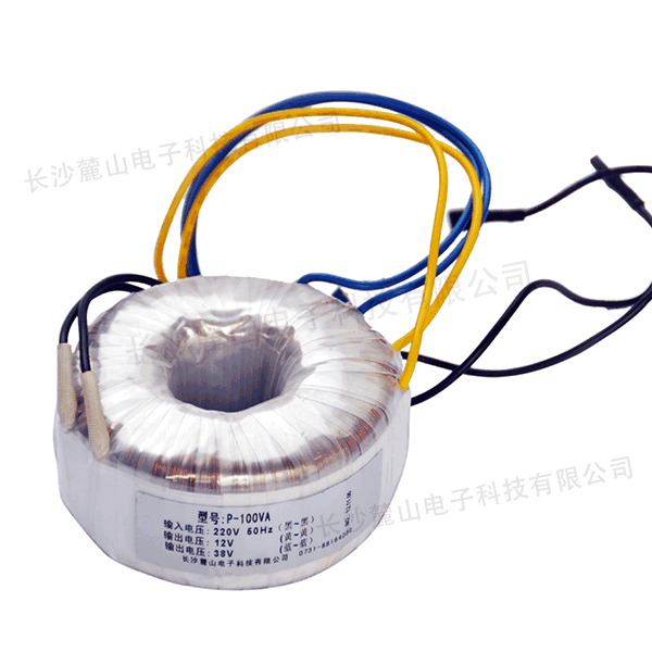 P-100VA 220V-38V&12V 60Hz